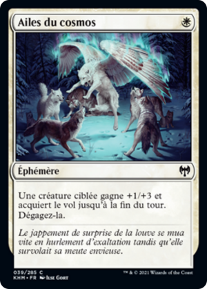 3887f033-b6ad-4935-87c1-60e3a7127ef0 Wings of the Cosmos