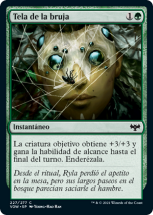 39fdc233-ecce-456f-9cca-7ea9cdcd12b2 Witch's Web
