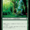 Woodland Changeling