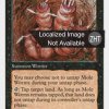 Mole Worms
