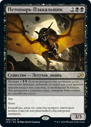 3e61b01d-c548-48df-bb49-6deef1826d72 Dirge Bat