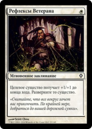 3e66796e-b07f-4eeb-a97a-3b2b930463a9 Veteran's Reflexes