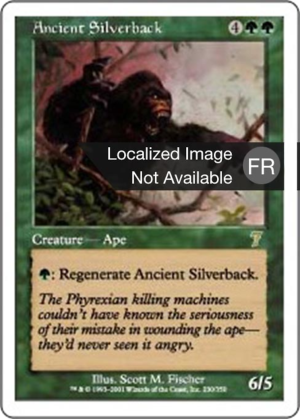 3eb251c6-8869-4671-a2f2-d917ededd303 Ancient Silverback