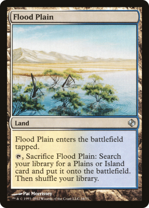 3f0d377b-9bd0-4aa9-b672-dcf4eaf8b7a9 Flood Plain