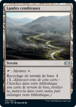 3fe5fedf-1f51-4ef0-92a3-979865614c2b Ash Barrens