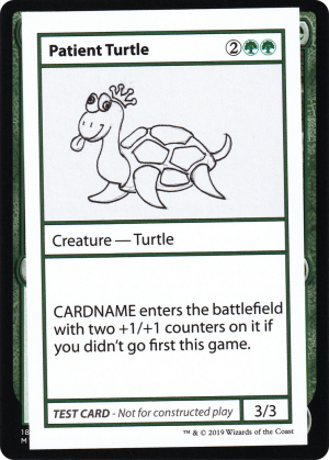 411545ae-952c-458e-a11d-c548617dad38 Patient Turtle