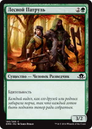 417d5c94-7e26-4702-88c2-f44e9c30ccd4 Woodland Patrol