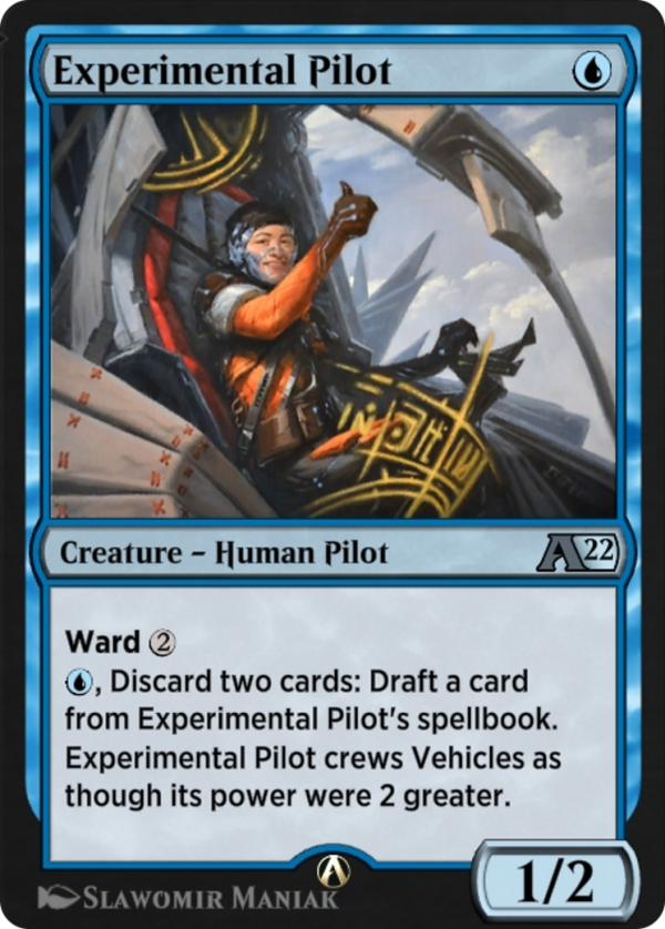 Experimental Pilot