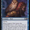 Augury Owl