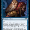 Augury Owl