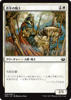 4455767a-ff17-4cff-a0fa-6efee3532377 Youthful Knight