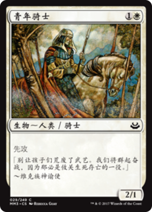 4497282e-ab7c-4c30-8515-08c680a4698d Youthful Knight