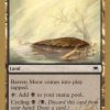 Barren Moor