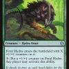 Feral Hydra