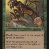 Deadly Insect
