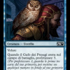 Augury Owl