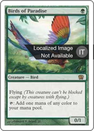 4b1c7de9-b8fc-4000-9cd4-ef834dec29c7 Birds of Paradise