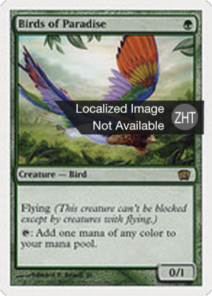 4c874a9d-f72f-423b-980f-00a2844f8c19 Birds of Paradise