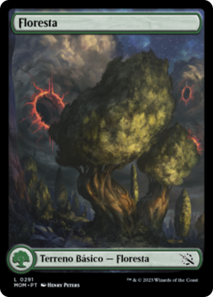 4cc568b6-c662-4589-8fdd-80e925de7e2b Forest