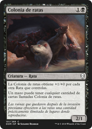 4cd0ac45-7175-4d54-b4cc-fbf0a486c833 Rat Colony