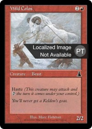 4dcc4585-7ebb-4bd8-9655-cab0bbe8d8ed Wild Colos