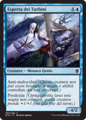 4e0b8c21-63ac-4017-91f5-78538d9a3aa8 Whirlwind Adept