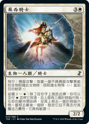 4e3b0e5b-65a1-4530-aea2-dd557a6d8c68 Knight of Sursi