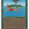 Birds of Paradise