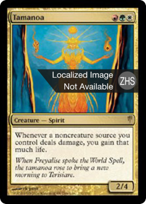 4ecfb27e-4876-4322-82cd-4bb5fc44d7f5 Tamanoa