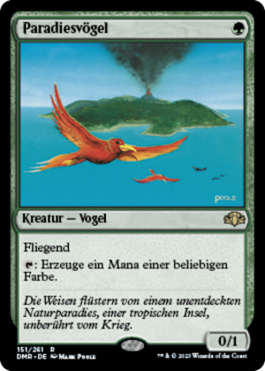 4f07fe4c-1ddd-4966-9f65-35eba2f93d36 Birds of Paradise