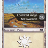Plains