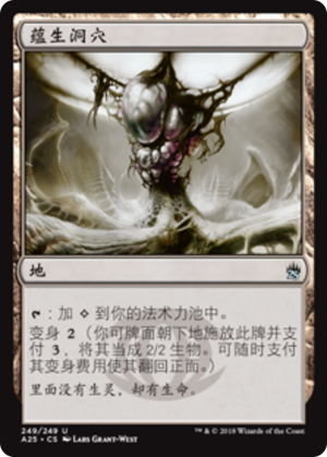 4fbd585d-90e4-429c-8737-af5b0bc692bf Zoetic Cavern
