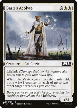4fcd67bc-3cfc-4400-89d2-9709d41678a7 Basri's Acolyte