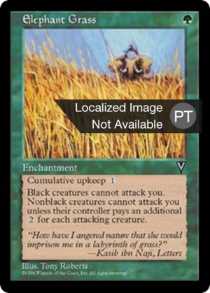 505e8d23-aa5c-4399-8d69-cfe210620398 Elephant Grass