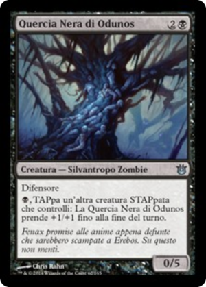 52971071-77dd-4a70-9523-a9f46f60216b Black Oak of Odunos