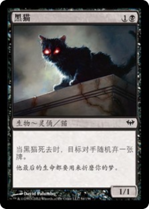 53ef05b3-ac14-4ee4-97d7-3b24adfe350a Black Cat