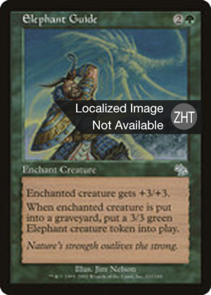 544e5cae-806c-481b-98ed-fd47862942fa Elephant Guide