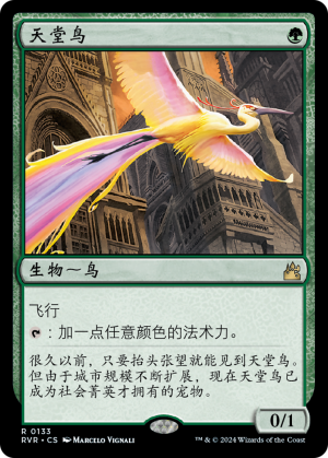 546f757d-15a5-4932-a71b-c61b49a94746 Birds of Paradise