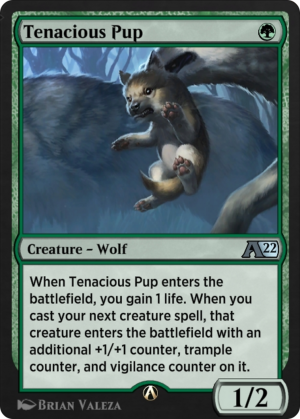 559c7e21-1394-42b0-b6b7-d581b2a50569 Tenacious Pup