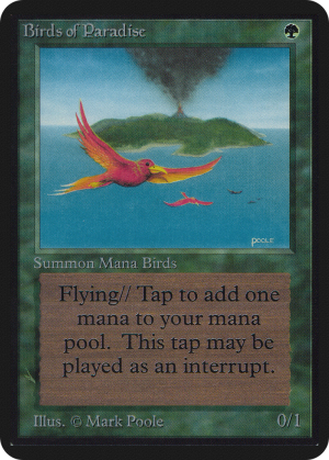 55fe6449-1f23-43dc-adee-d144cd505b5c Birds of Paradise