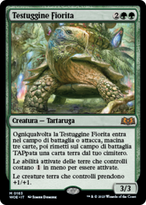 56142704-3a74-4e59-b82a-07bad1ed1457 Blossoming Tortoise