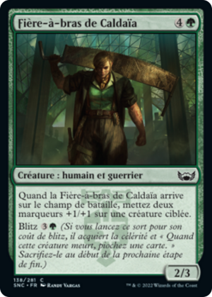 5618365a-2225-4e98-8a9a-5cac05c2e51b Caldaia Strongarm