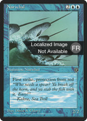 56574c41-a9b8-4cf7-a2b6-7ace8ac59f1b Narwhal