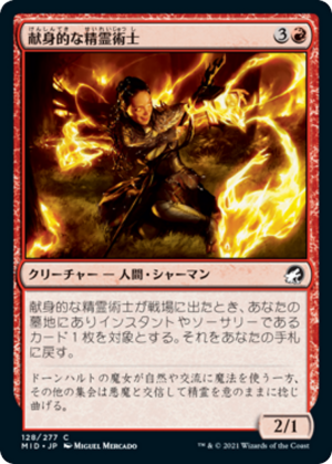 567755ce-038e-46e0-9010-0dac4144b225 Ardent Elementalist