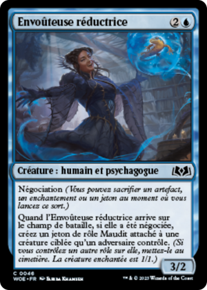 59da6893-2b72-4277-ba19-30c7a1ef8282 Diminisher Witch