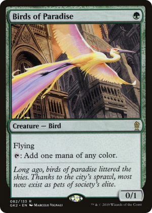 5a8b5ae4-e683-4ee5-8a41-10daddc2561f Birds of Paradise