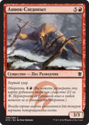 5b933438-c736-4952-a5e7-0c704522ac9e Ainok Tracker