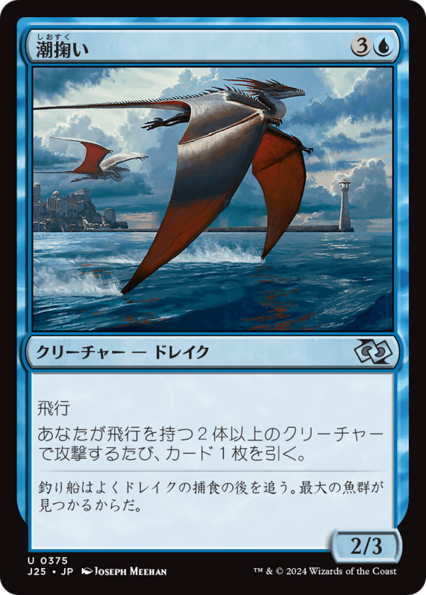Tide Skimmer