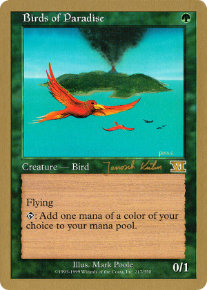 5d718a96-b124-405d-891e-7e58565a17d5 Birds of Paradise