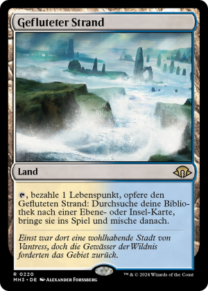 5db1f407-c3ea-4805-8ae0-2f0b23c02427 Flooded Strand